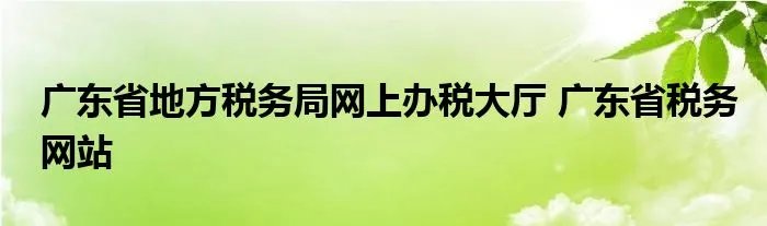 广东省地方税务局网上办税大厅 广东省税务网站