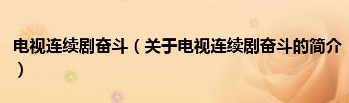 电视连续剧奋斗（关于电视连续剧奋斗的简介）