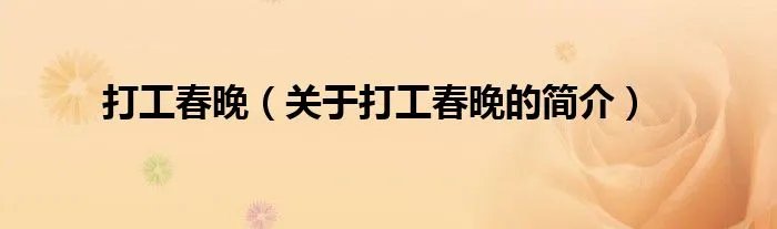 打工春晚（关于打工春晚的简介）