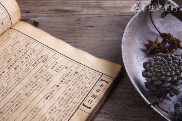 冬季适合吃什么养生粥