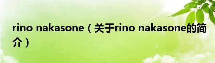 rino nakasone(关于rino nakasone的简介)