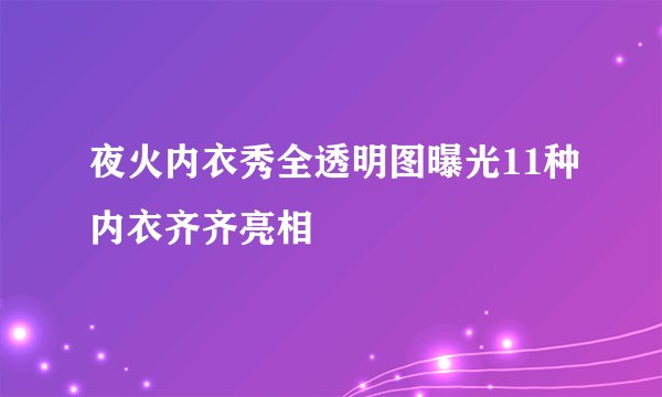 夜火内衣秀全透明图曝光11种内衣齐齐亮相