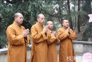 延参法师出家前妻子 延参法师为什么出家 延参法师出家前经历
