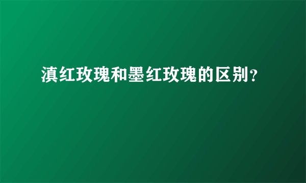 滇红玫瑰和墨红玫瑰的区别？