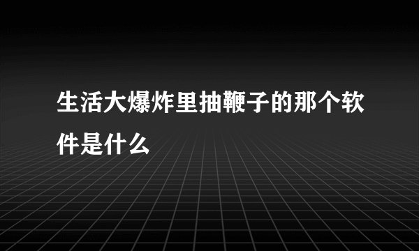 生活大爆炸里抽鞭子的那个软件是什么