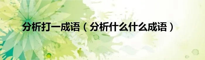 分析打一成语（分析什么什么成语）