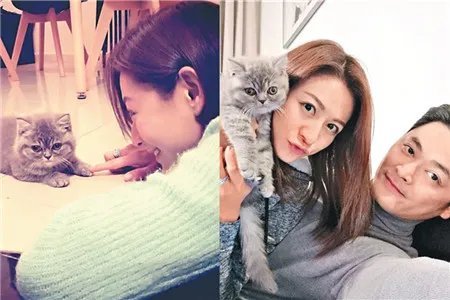 曹云金晒婴儿车照 前女友江若琳晒与男友爱猫合影照