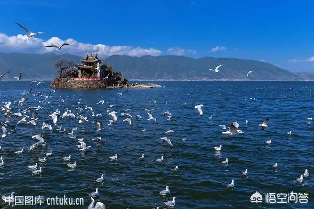 3月份最适合旅游的地方是哪里?