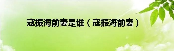 寇振海前妻是谁（寇振海前妻）