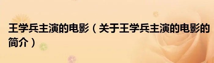 王学兵主演的电影（关于王学兵主演的电影的简介）