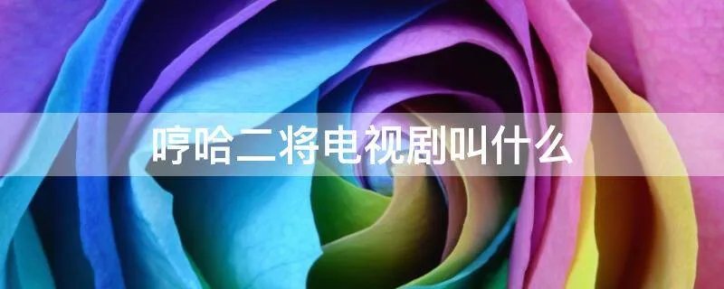 哼哈二将电视剧叫什么