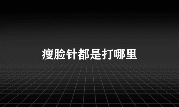 瘦脸针都是打哪里