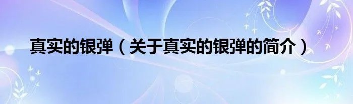 真实的银弹（关于真实的银弹的简介）