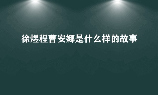 徐煜程曹安娜是什么样的故事