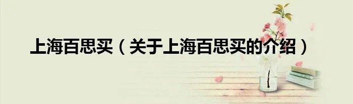 上海百思买（关于上海百思买的介绍）