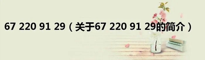 67 220 91 29（关于67 220 91 29的简介）