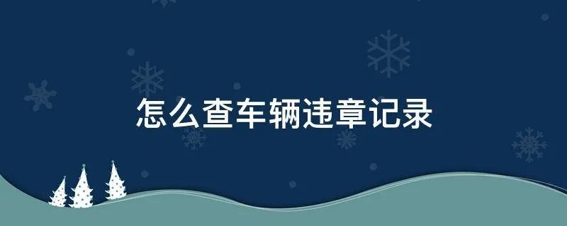 怎么查车辆违章记录
