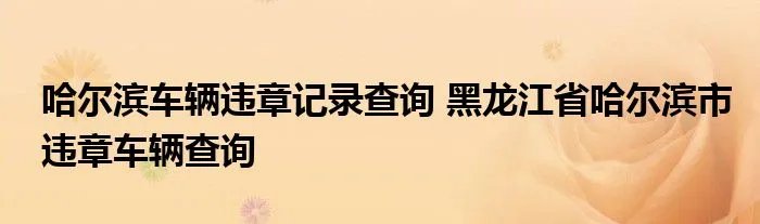 哈尔滨车辆违章记录查询 黑龙江省哈尔滨市违章车辆查询