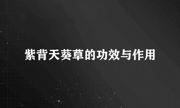 紫背天葵草的功效与作用
