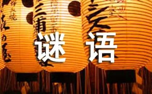 谜语及答案