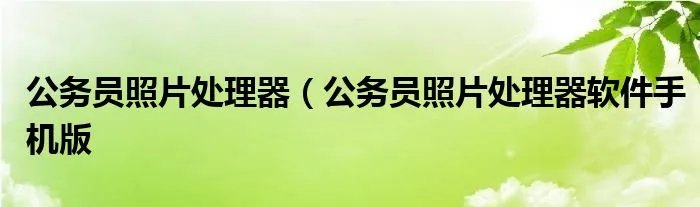 公务员照片处理器（公务员照片处理器软件手机版