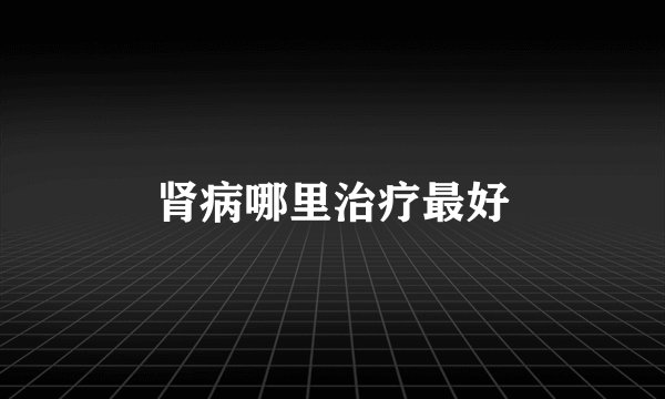 肾病哪里治疗最好