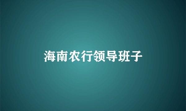 海南农行领导班子