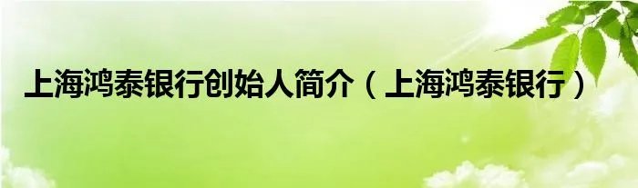 上海鸿泰银行创始人简介（上海鸿泰银行）