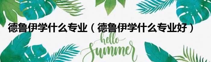 德鲁伊学什么专业(德鲁伊学什么专业好)