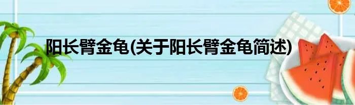 阳长臂金龟(关于阳长臂金龟简述)
