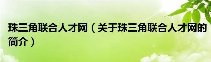 珠三角联合人才网（关于珠三角联合人才网的简介）