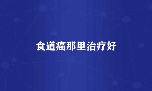 食道癌那里治疗好