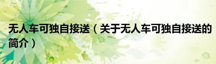 无人车可独自接送（关于无人车可独自接送的简介）