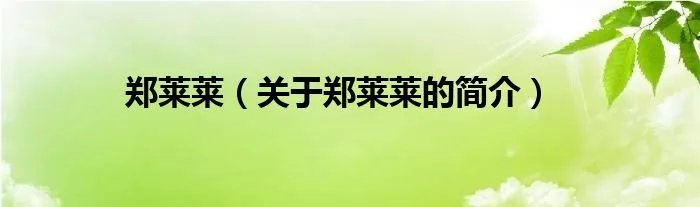 郑莱莱（关于郑莱莱的简介）