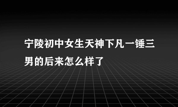 宁陵初中女生天神下凡一锤三男的后来怎么样了