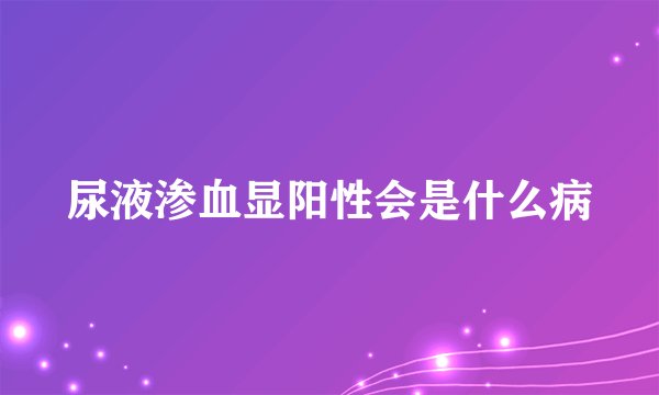 尿液渗血显阳性会是什么病