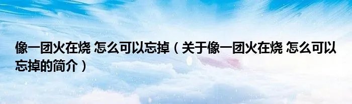 像一团火在烧 怎么可以忘掉（关于像一团火在烧 怎么可以忘掉的简介）