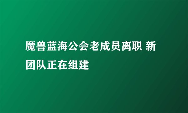魔兽蓝海公会老成员离职 新团队正在组建