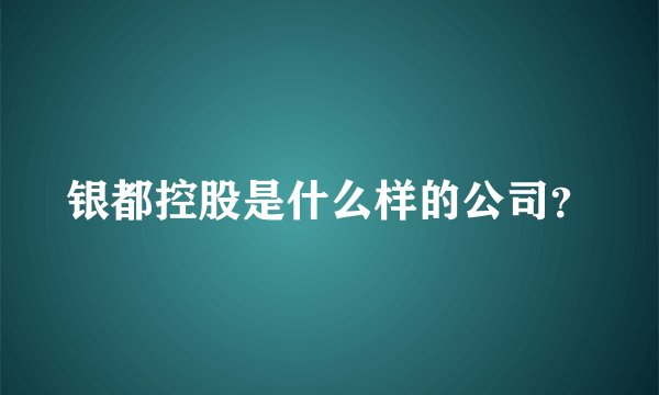 银都控股是什么样的公司？