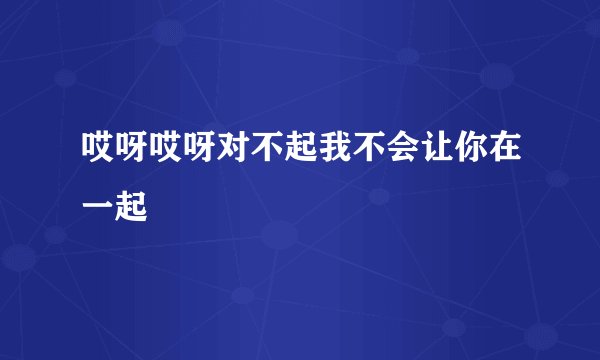 哎呀哎呀对不起我不会让你在一起