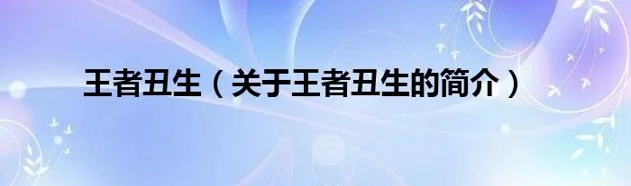 王者丑生(关于王者丑生的简介)