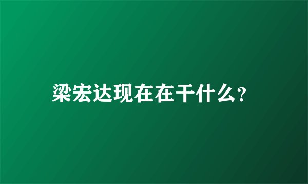 梁宏达现在在干什么？