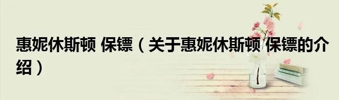 惠妮休斯顿 保镖（关于惠妮休斯顿 保镖的介绍）