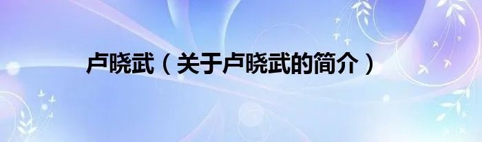 卢晓武（关于卢晓武的简介）