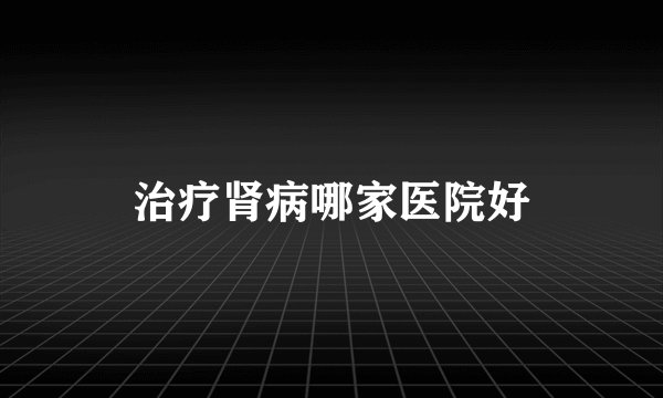 治疗肾病哪家医院好