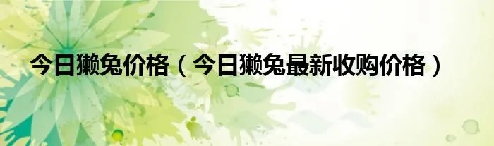 今日獭兔价格（今日獭兔最新收购价格）