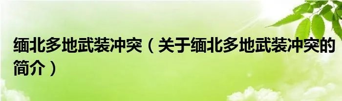 缅北多地武装冲突（关于缅北多地武装冲突的简介）