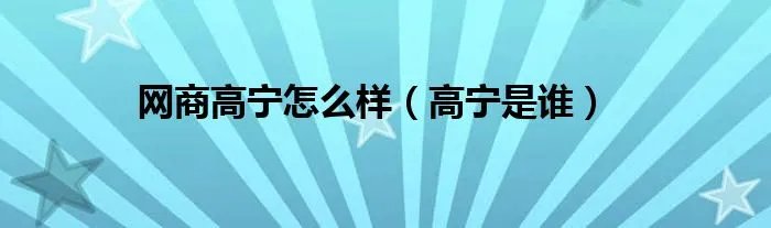 网商高宁怎么样（高宁是谁）