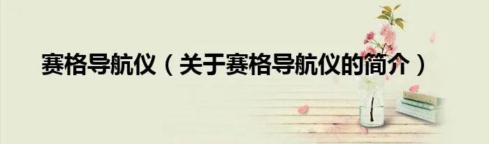 赛格导航仪（关于赛格导航仪的简介）