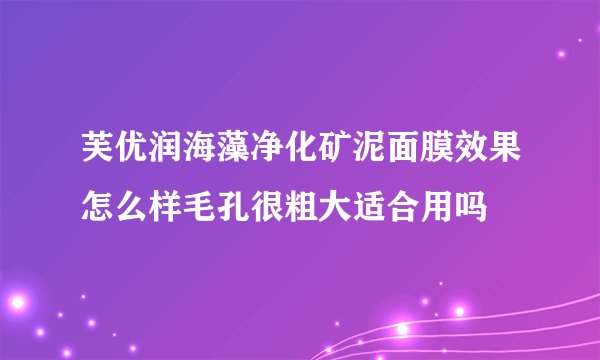 芙优润海藻净化矿泥面膜效果怎么样毛孔很粗大适合用吗